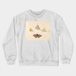 Orange Tip, Painted Lady, Southern Small White, and Small Tortoiseshell Butterflies Crewneck Sweatshirt